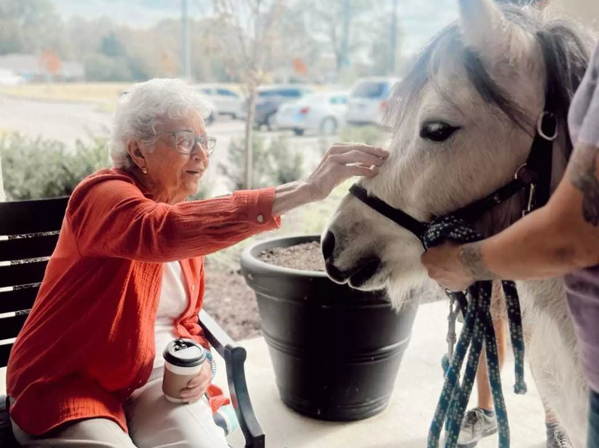 A StoryPoint Group resident is happily reaching out to scratch the snout of a visiting mini-horse.