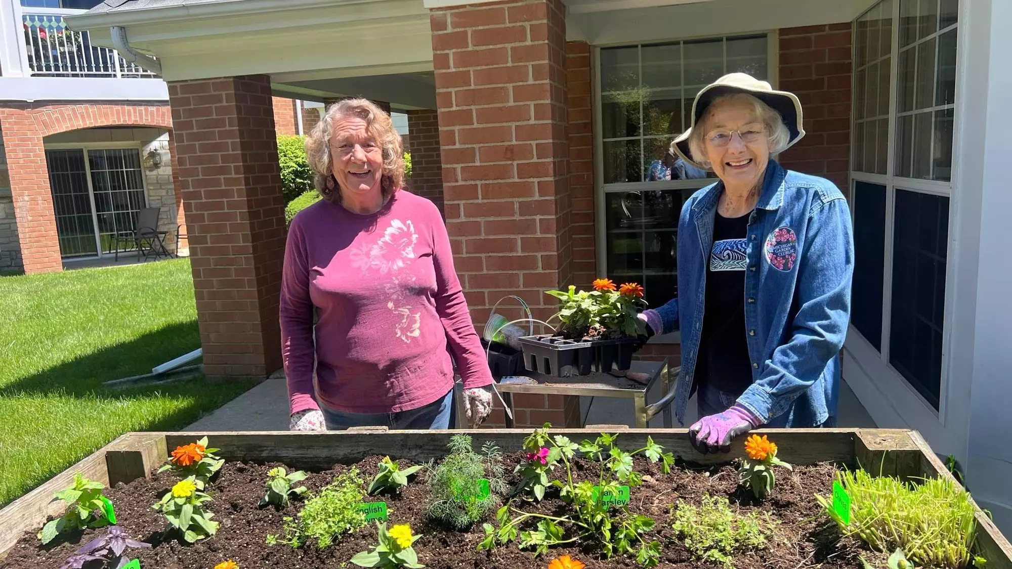 Gardening for Seniors: Benefits, Tips, and Easy Ways to Get Started