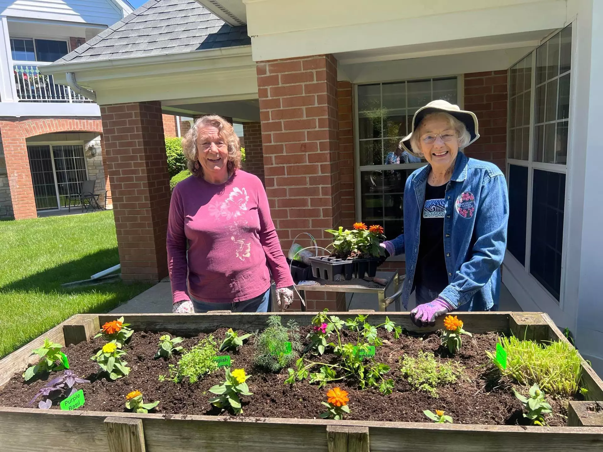 Gardening for Seniors: Benefits, Tips, and Easy Ways to Get Started